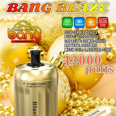 Bang Blaze E Shisha Head 42000 Puffs