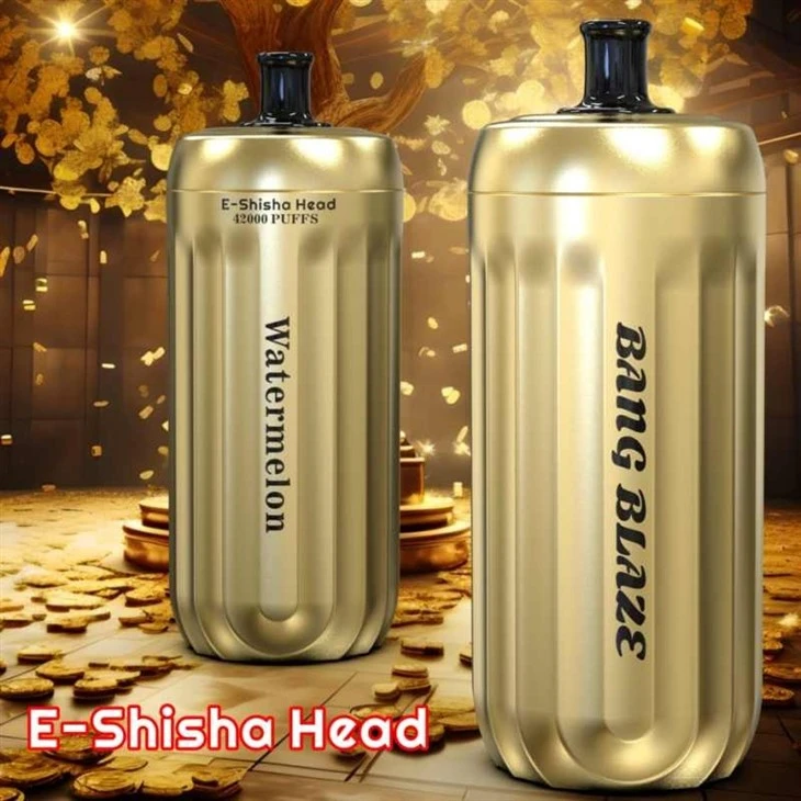 Bang Blaze E Shisha Head 42000 Puffs