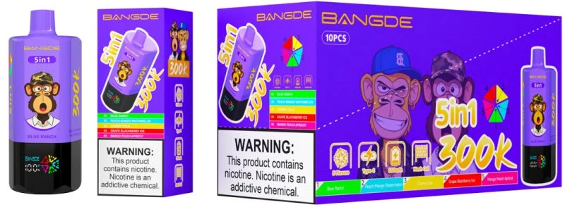 Bang DE 300K