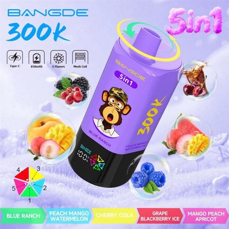 Bang DE 300K