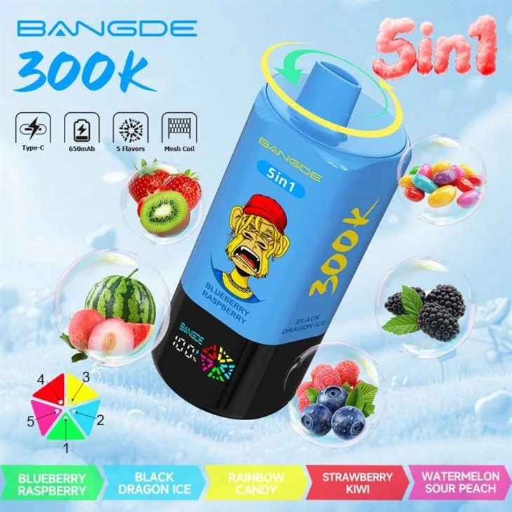 Bang DE 300K