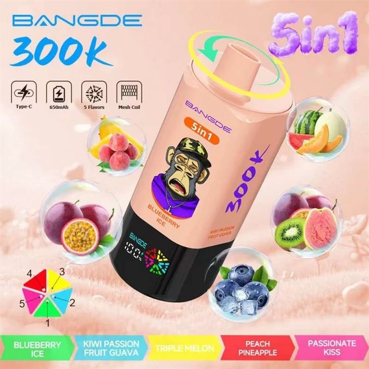 Bang DE 300K