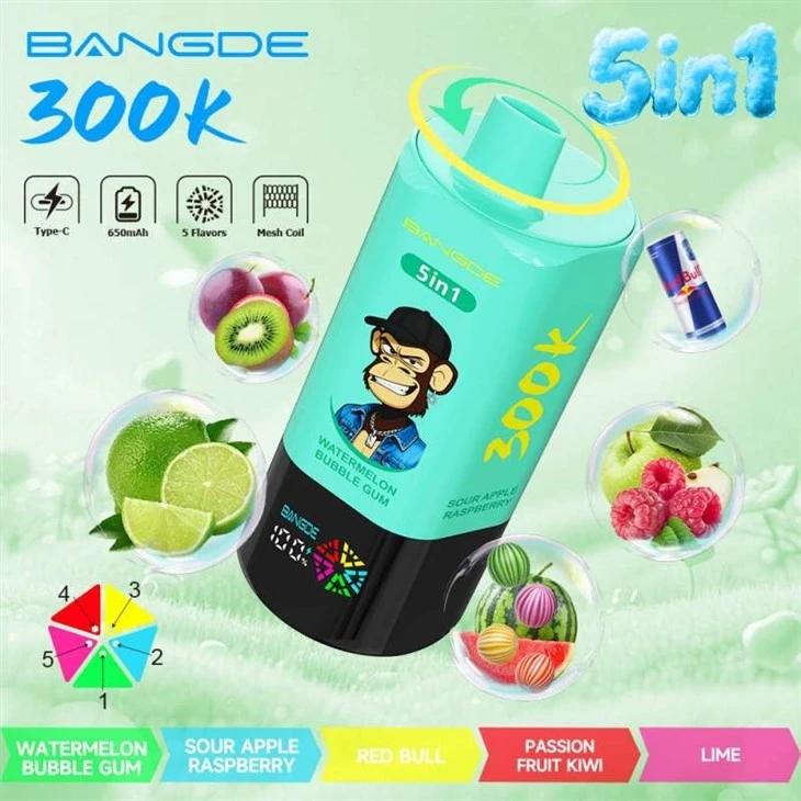 Bang DE 300K
