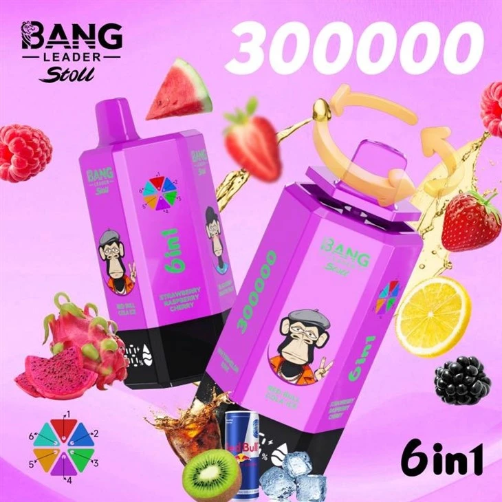 Bang Leader 300K Puffs Vape