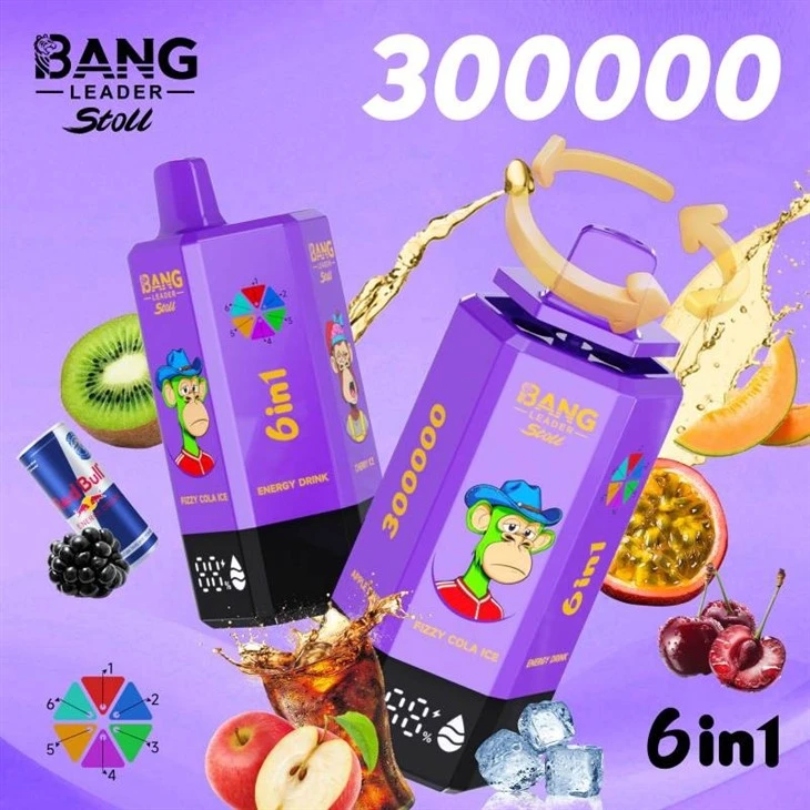 Bang Leader 300K Puffs Vape