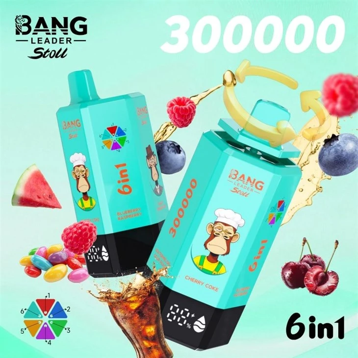 Bang Leader 300K Puffs Vape
