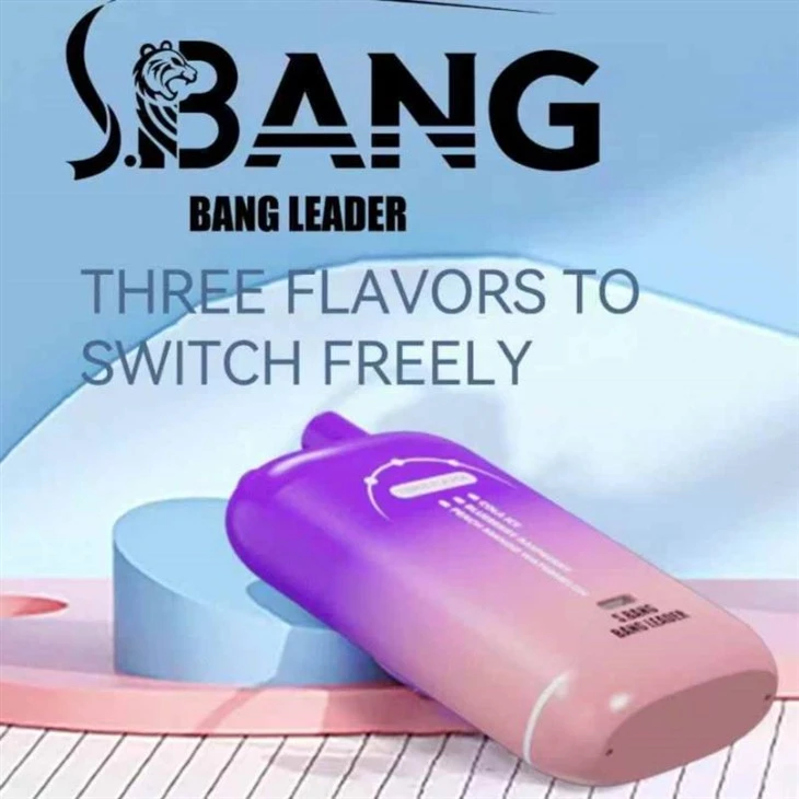 Bang Leader 80000 Puffs Three Flavors