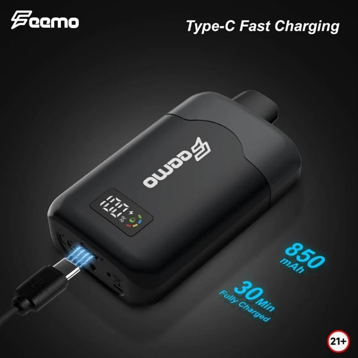 Feemo Gemini Pro 28000