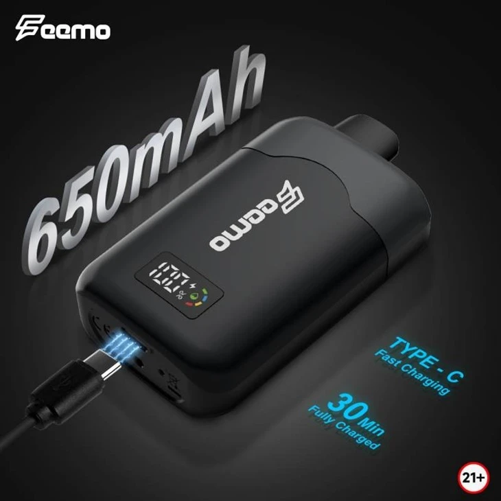 Feemo Gemini Pro 28000