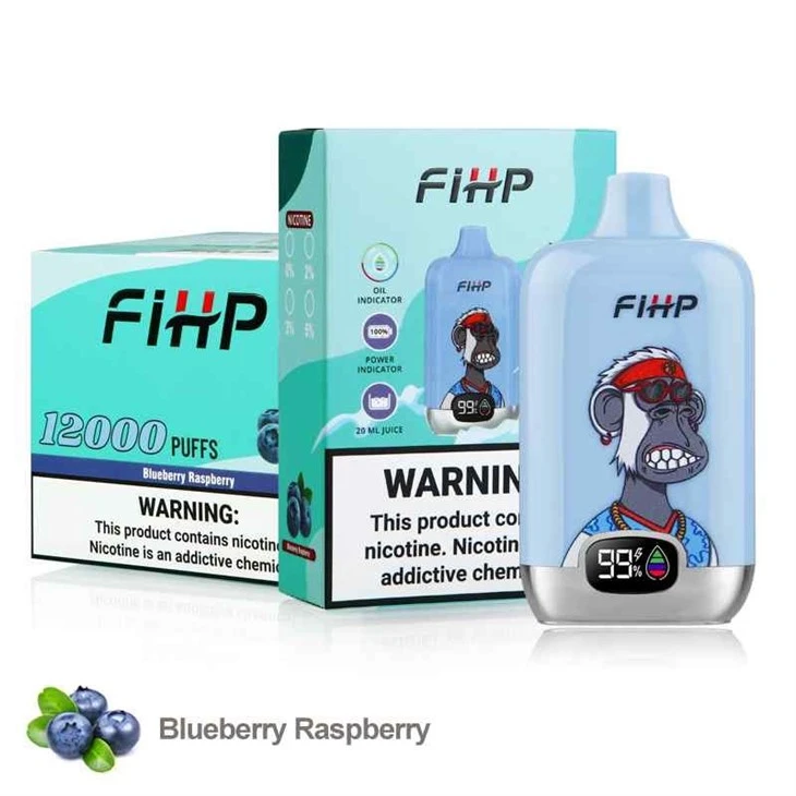 Fihp Digital Box 12000