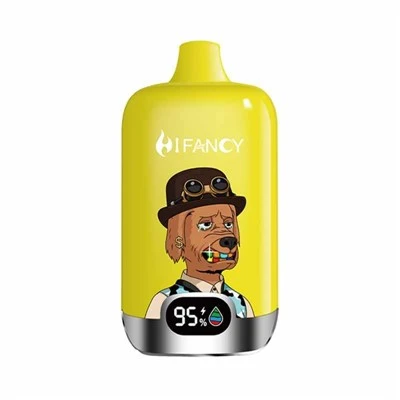 Hifancy Digital Box 16000