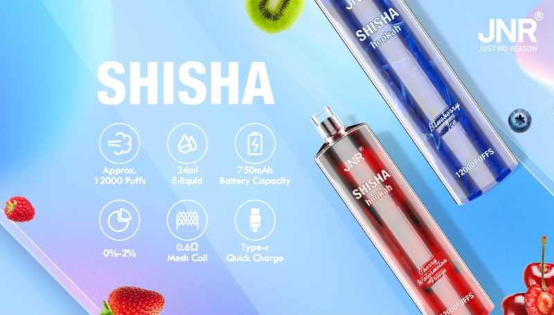Jnr Shisha 12000 Dtl