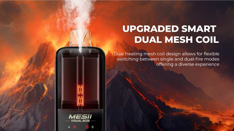 Mesii Visual Box 16000