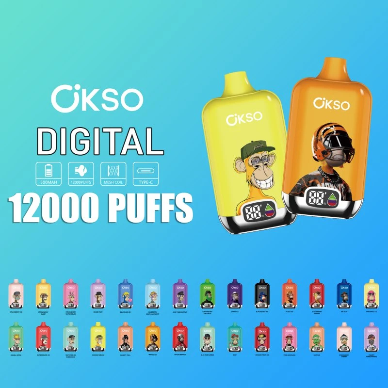 Okso Digital Box 12K