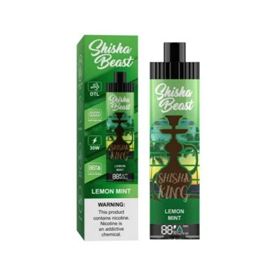 R M Shisha Beast 20000 Puffs