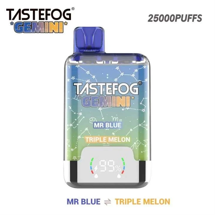 Tastefog Gemini 25K