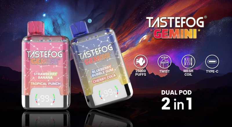 Tastefog Gemini 25000