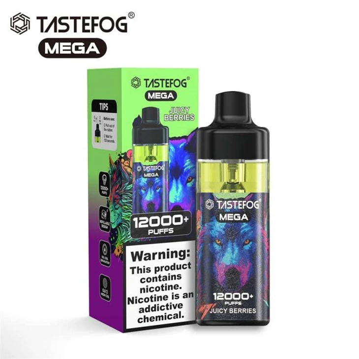 Tastefog Mega 12000