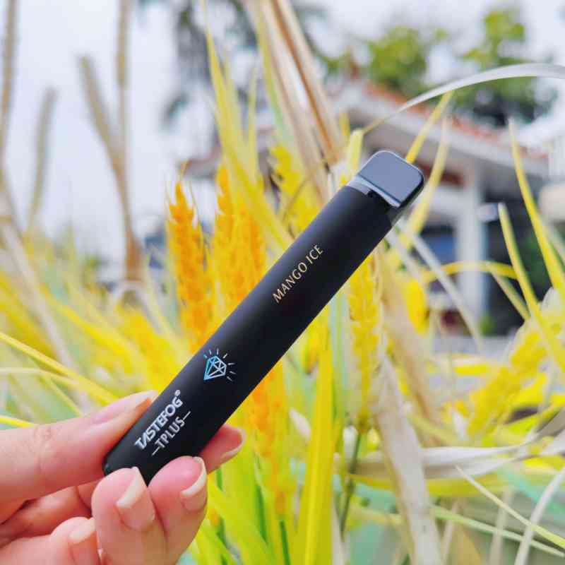 Tastefog Tplus 800