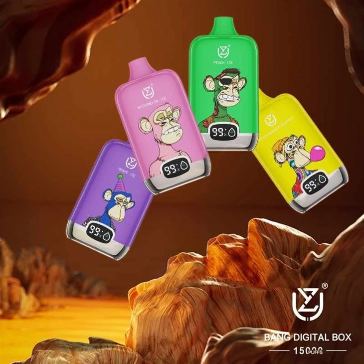 Uzy Bang Digital Box 15000 Puffs