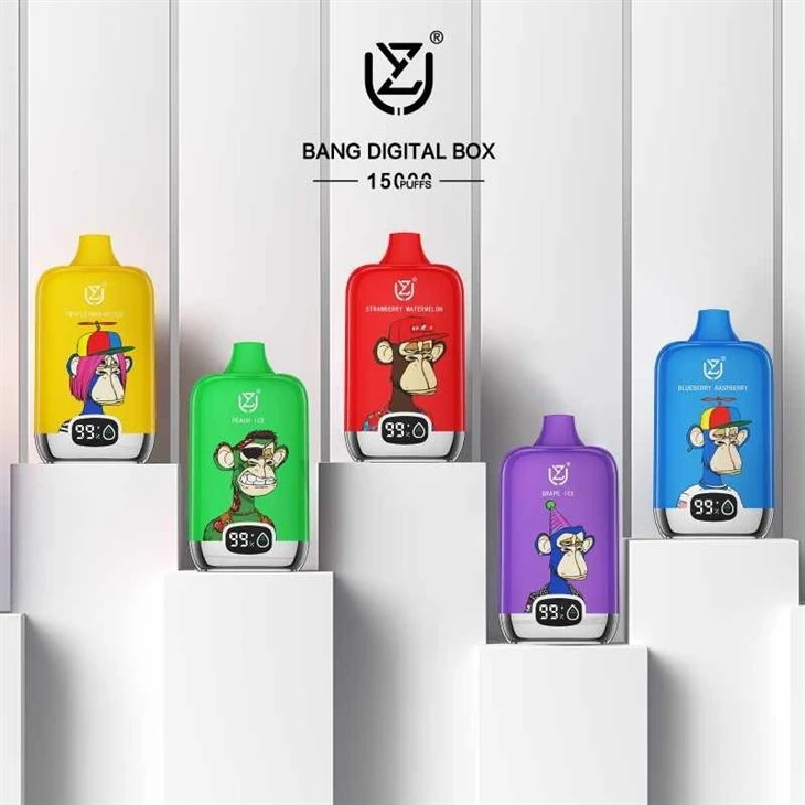 Uzy Bang Digital Box 15000 Puffs