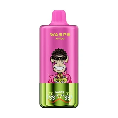Waspe Aiviou 60K 3 IN 1