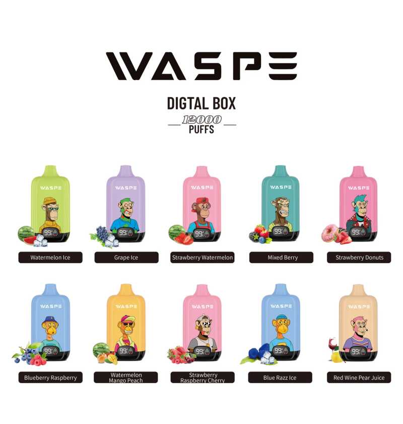 Waspe Digital Box 12000