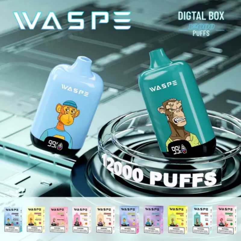 Waspe Digital Box 12000