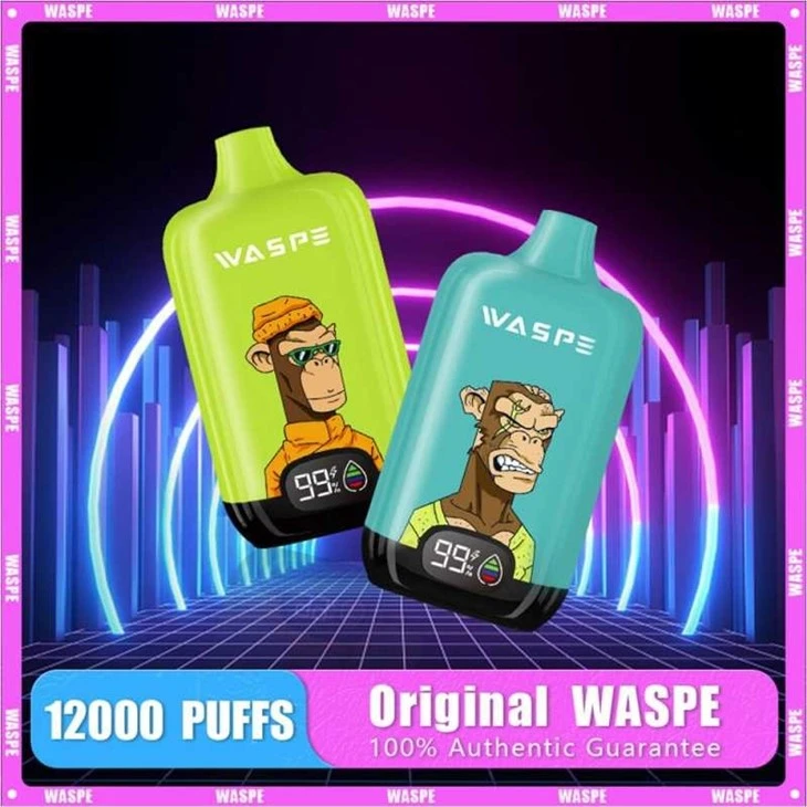 Waspe Digital Box 12000