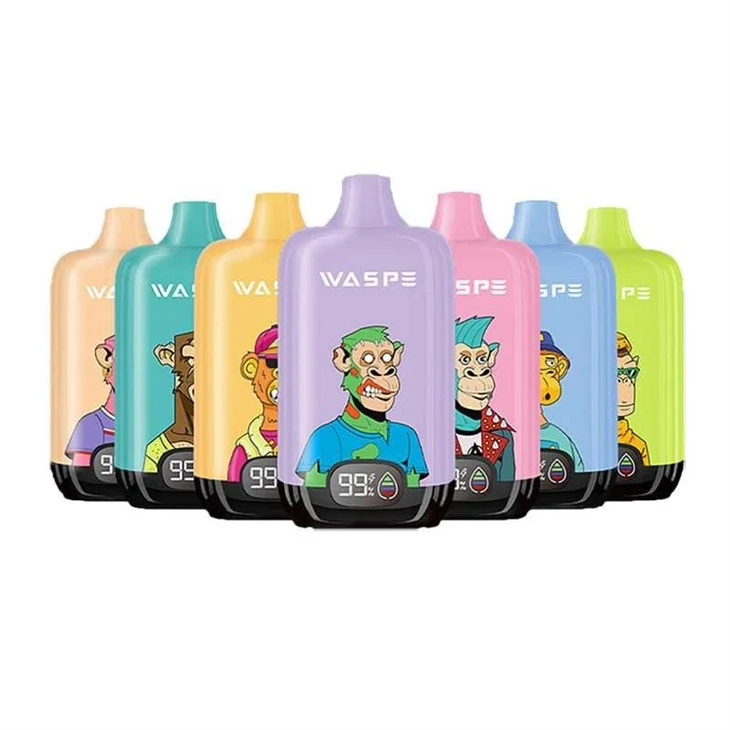 Waspe Digital Box 12000