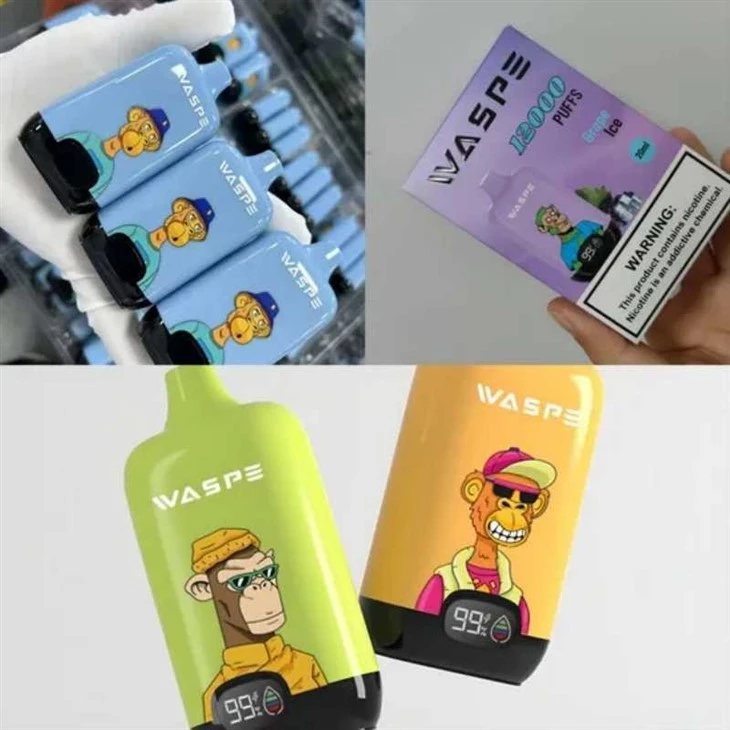 Waspe Digital Box 12000