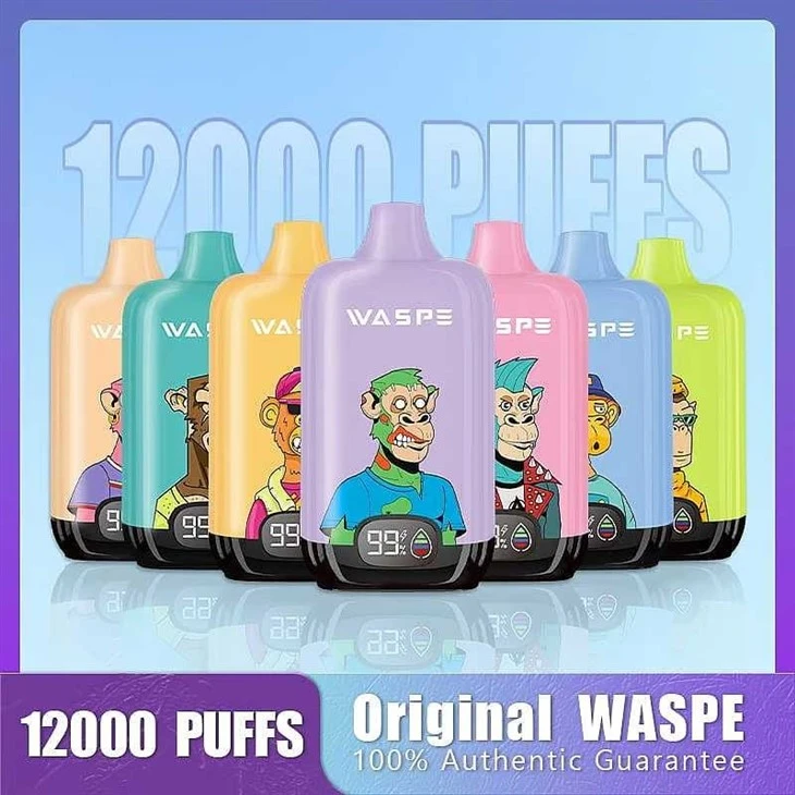 Waspe Digital Box 12000